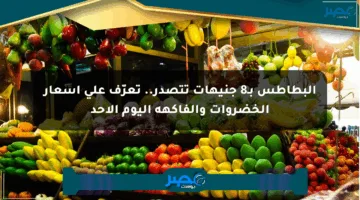 البطاطس بـ8 جنيهات تتصدر.. تعرّف على أسعار الخضروات والفاكهة اليوم الأحد